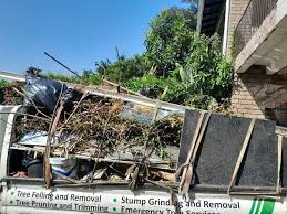 Best Dumpster Rental Services  in Lookout Mountain, TN